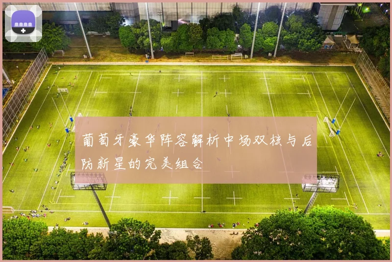 葡萄牙豪华阵容解析中场双核与后防新星的完美组合