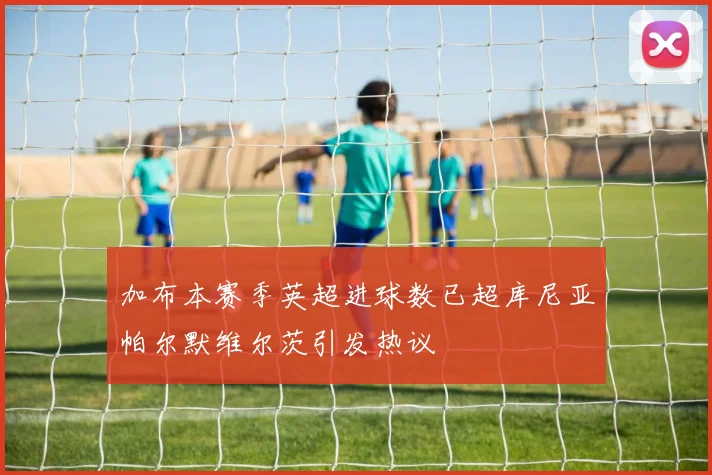 加布本赛季英超进球数已超库尼亚帕尔默维尔茨引发热议
