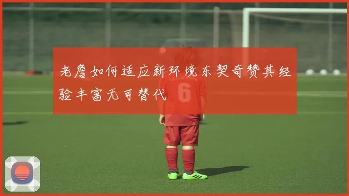 老詹如何适应新环境东契奇赞其经验丰富无可替代