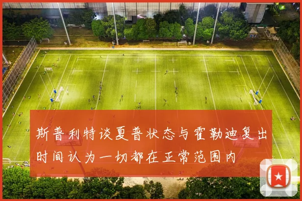 斯普利特谈夏普状态与霍勒迪复出时间认为一切都在正常范围内